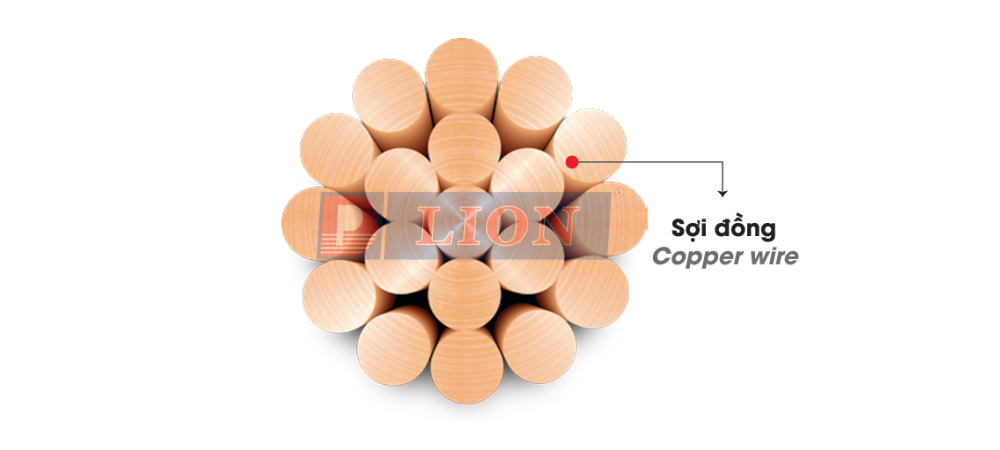C – DÂY ĐỒNG TRẦN XOẮN - anh 2