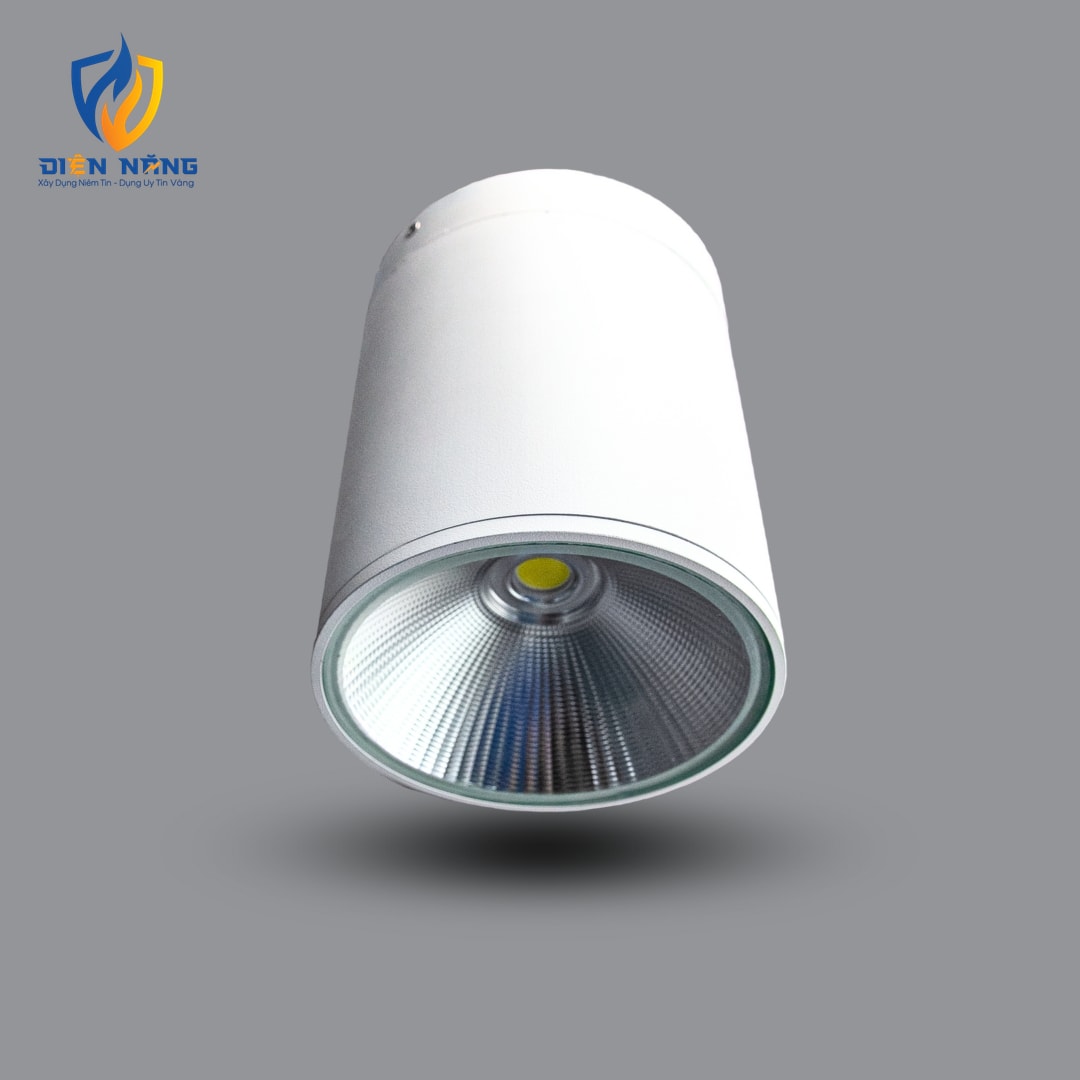 Đèn LED Downlight 25W gắn nổi PSDRR180L25 - anh 2
