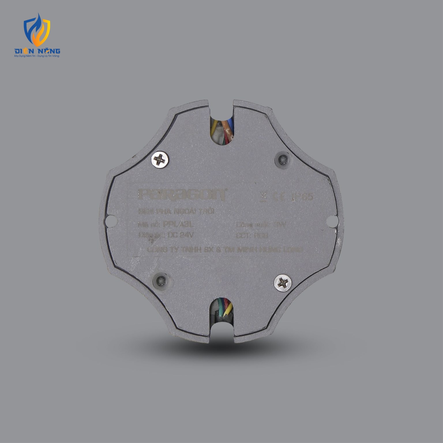 Đèn LED chiếu sáng cảnh quan PPLA3L/RGB - anh 4