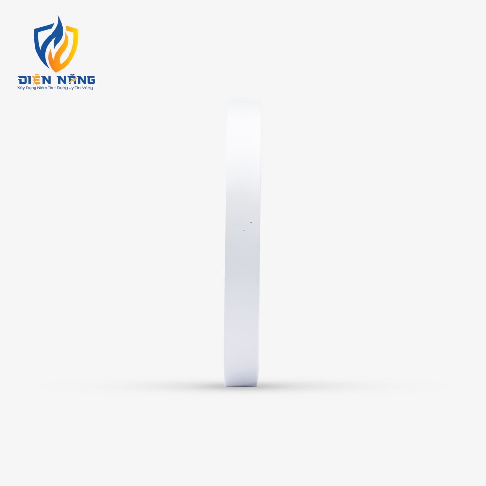 Đèn LED ốp trần tròn LN09 đế nhôm 300/24W - anh 3