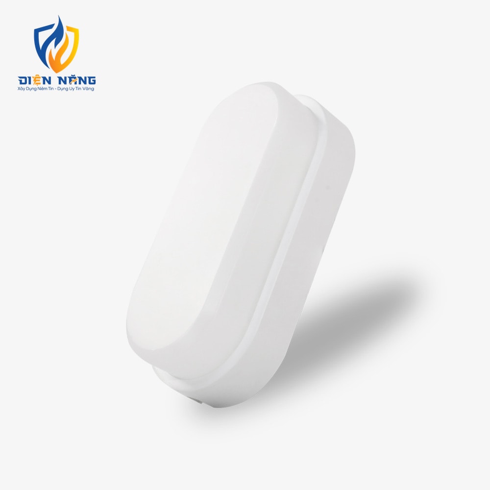 Đèn LED ốp tường LN12 90x195/10W