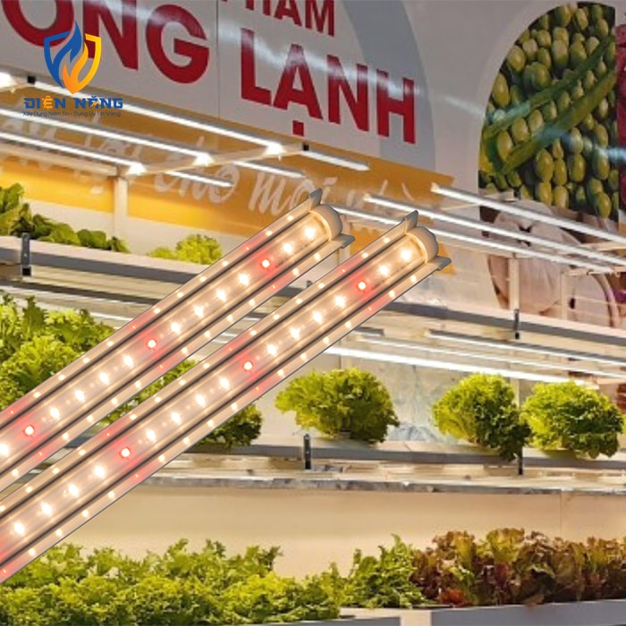 Đèn trồng rau