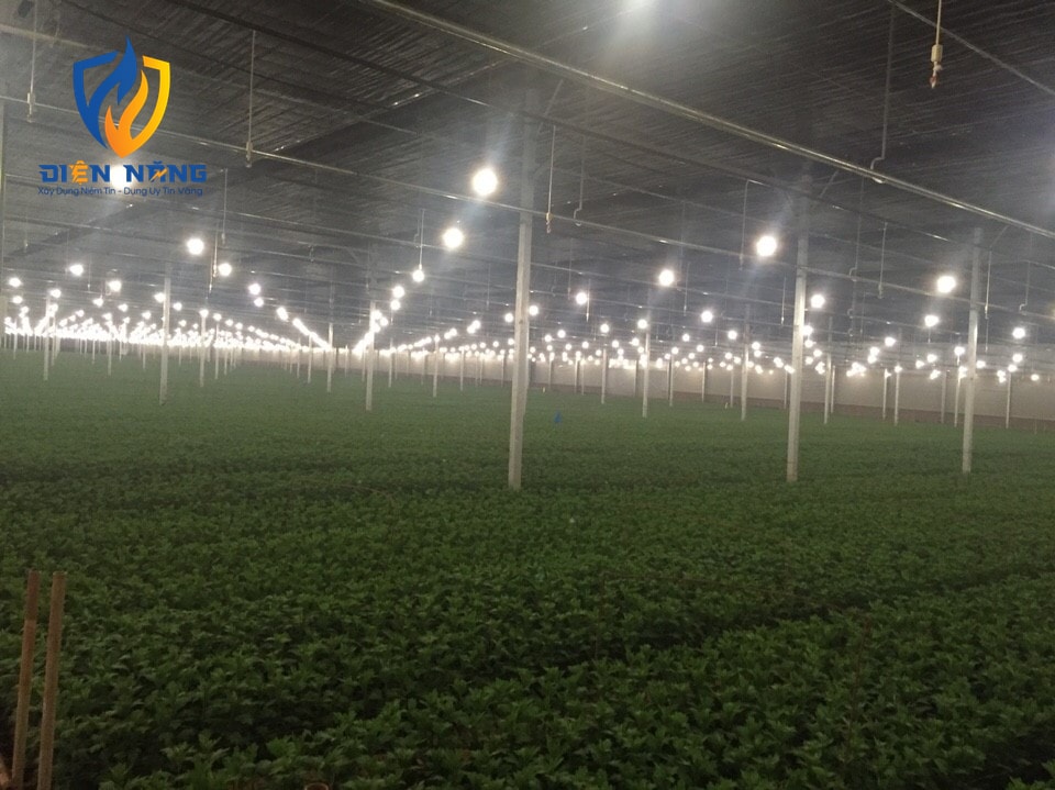 Đèn LED hoa cúc 6W - anh 3