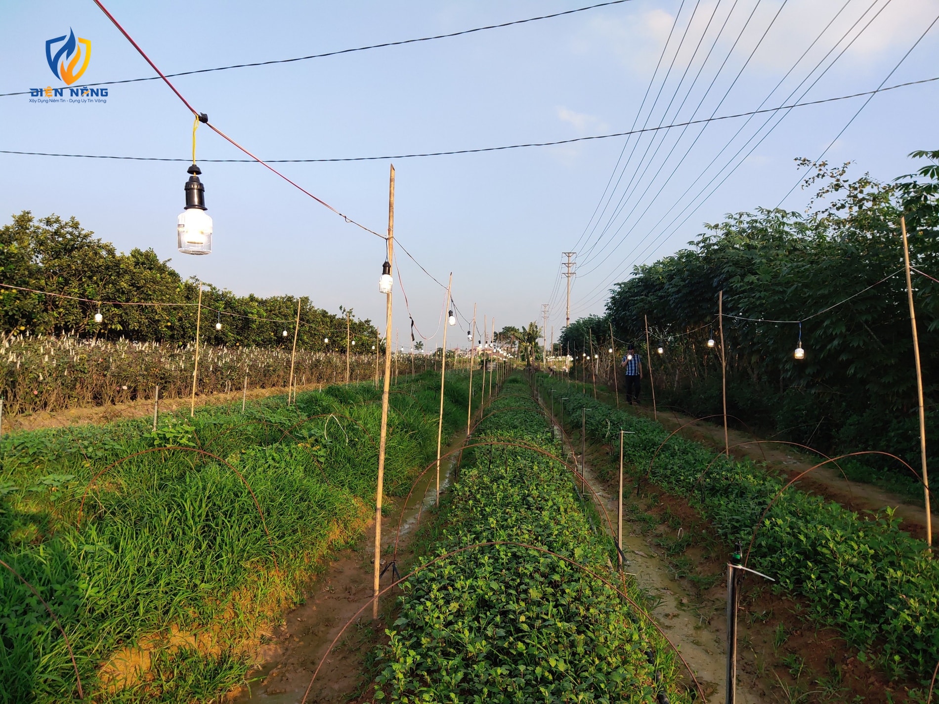 Đèn LED hoa cúc 9W - anh 5