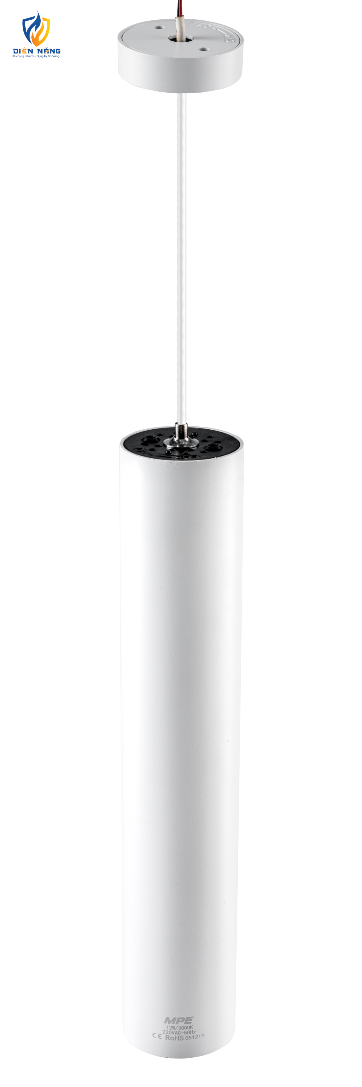 LED chiếu điểm dạng treo 12W ánh sáng vàng DPL-12V - anh 3