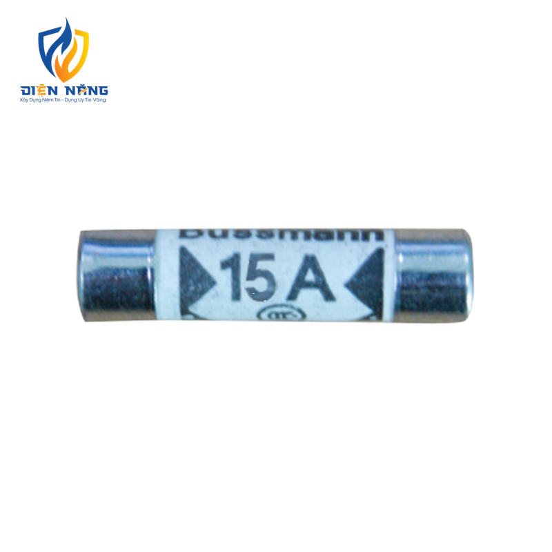 Cầu chì 15A mã FS
