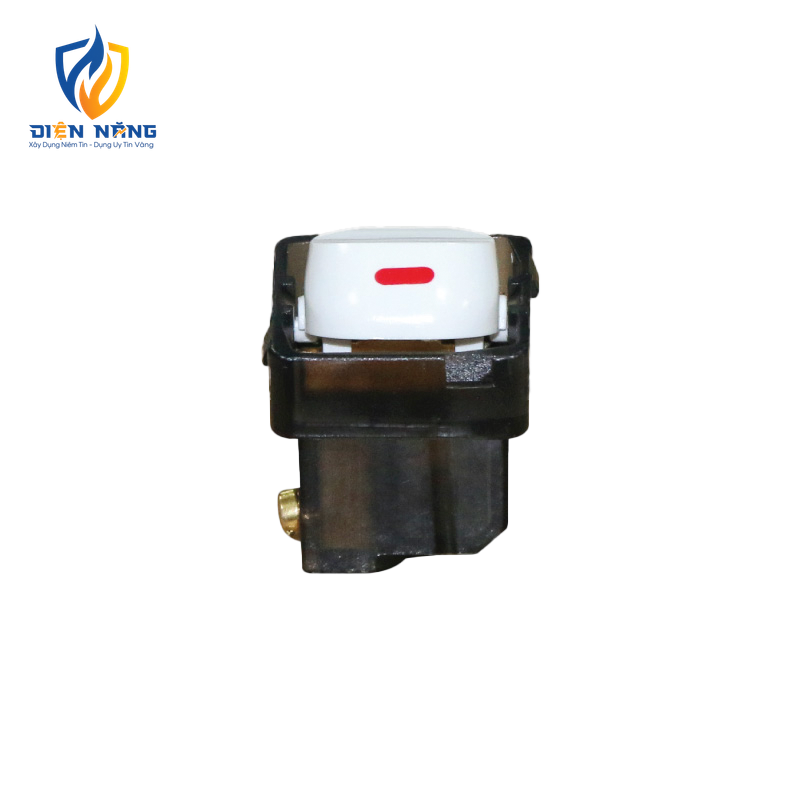 Công tắc 1 chiều 10A mã A30/1