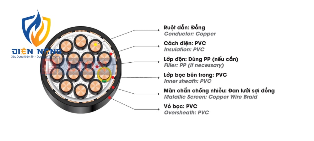 CY – 300/500V - anh 3