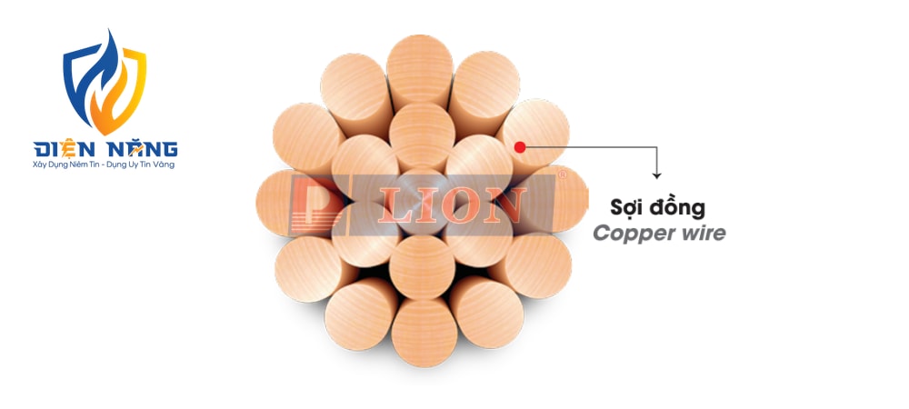 C – DÂY ĐỒNG TRẦN XOẮN - anh 3