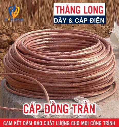 C – DÂY ĐỒNG TRẦN XOẮN