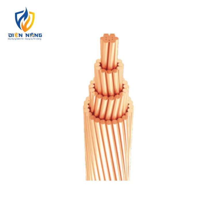 C – DÂY ĐỒNG TRẦN XOẮN - anh 2