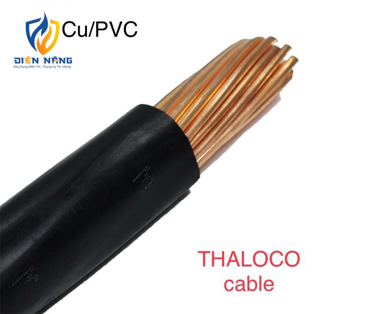 CV – Cu/PVC- 0.6/1kV