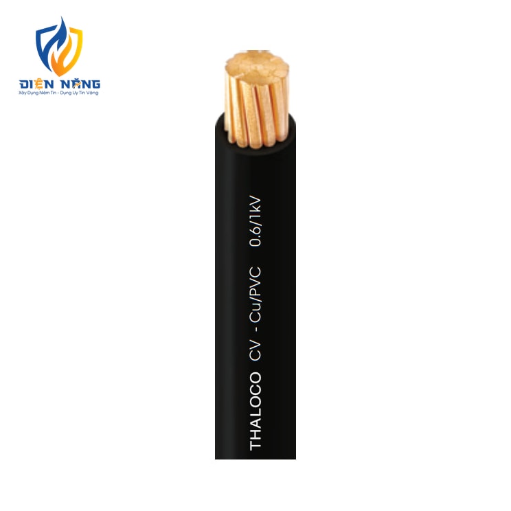 CV – Cu/PVC- 0.6/1kV - anh 2