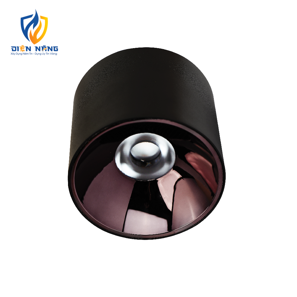 V8CLF - anh 2