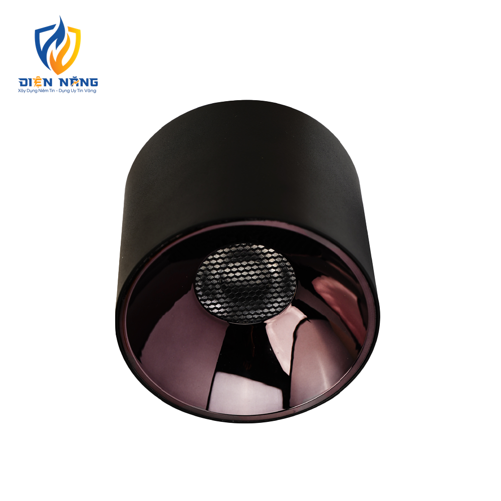 V8CLF - anh 3