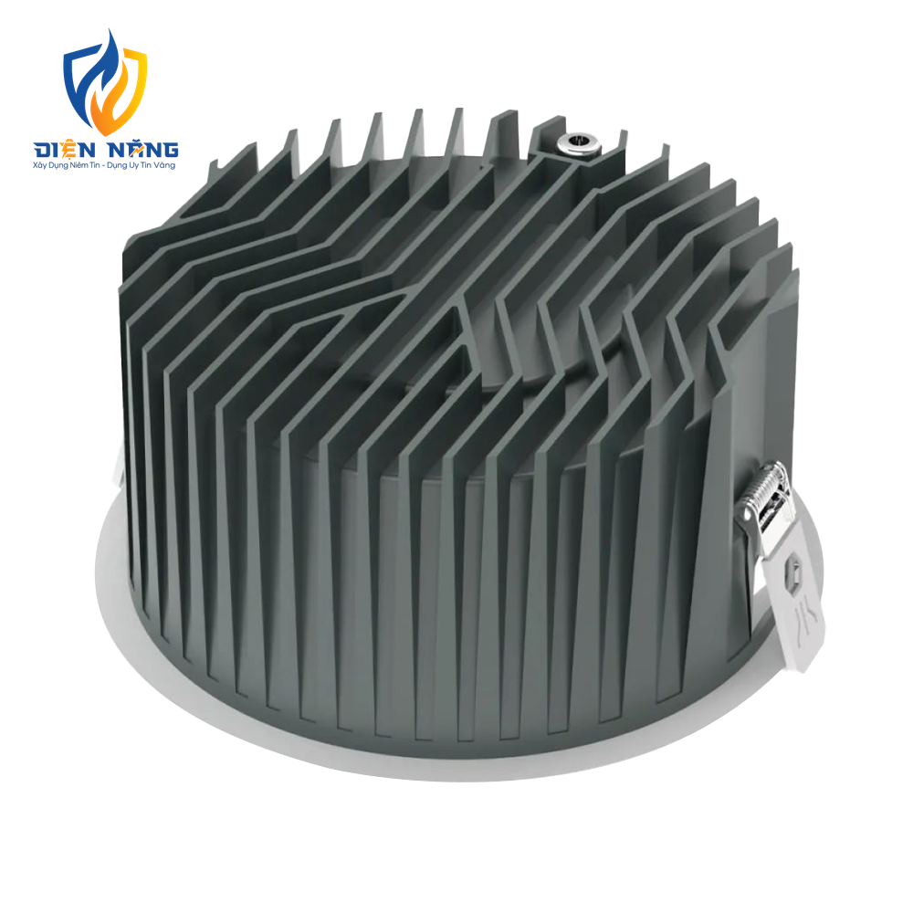 V10DLF - anh 2