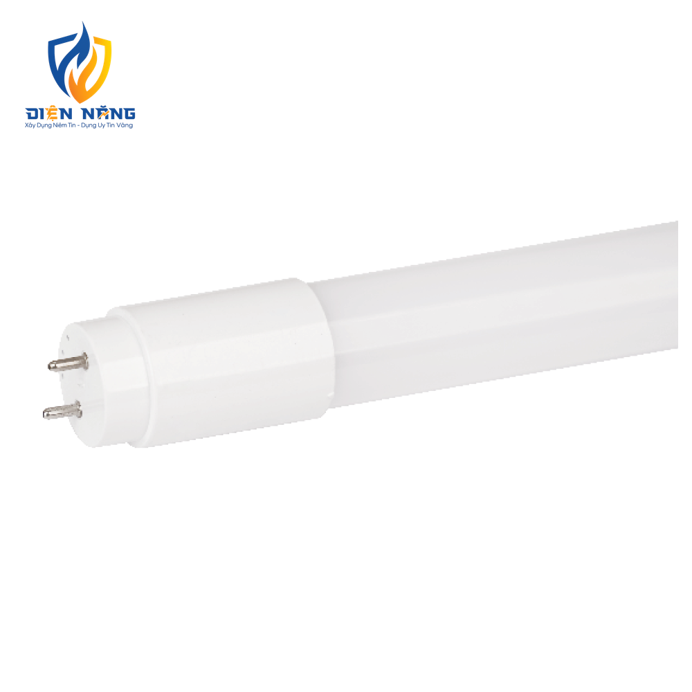 V1TLF - anh 2