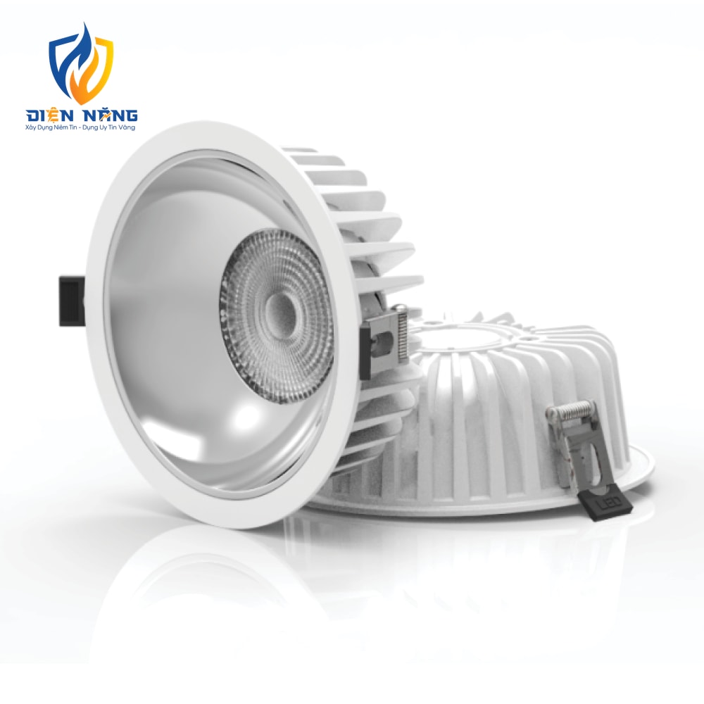 V11DLF - anh 6
