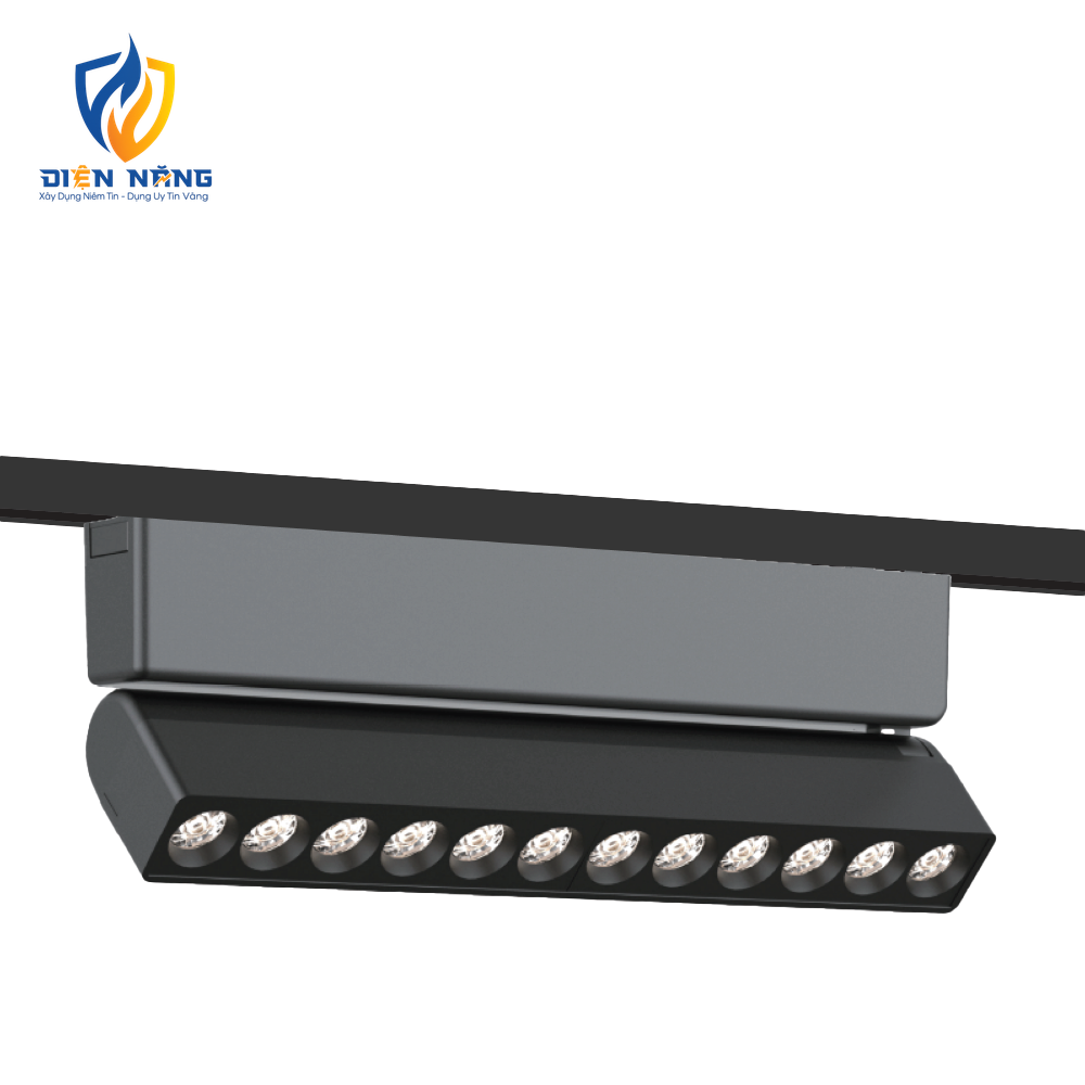 V1MSA - anh 2