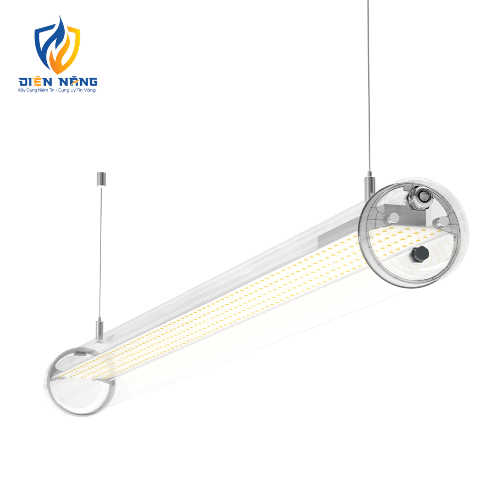 V2LTP - anh 5