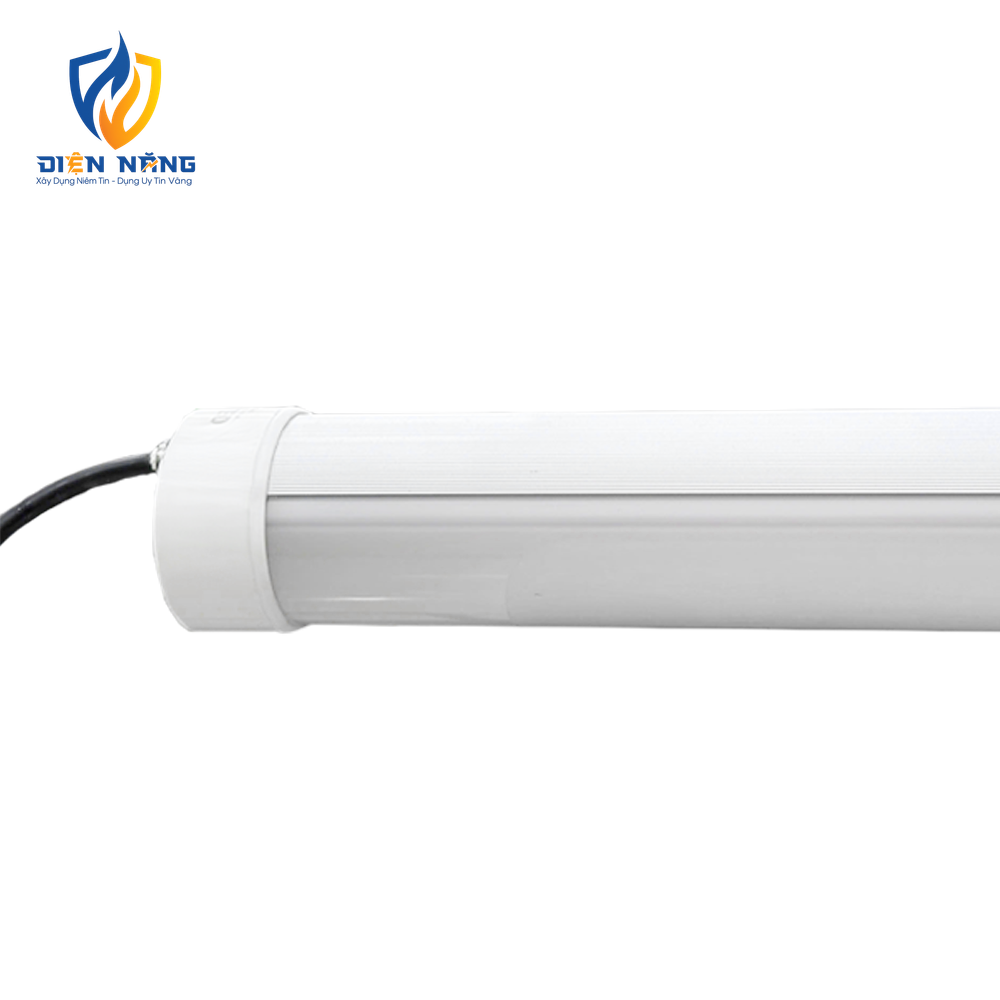V2LTP - anh 4