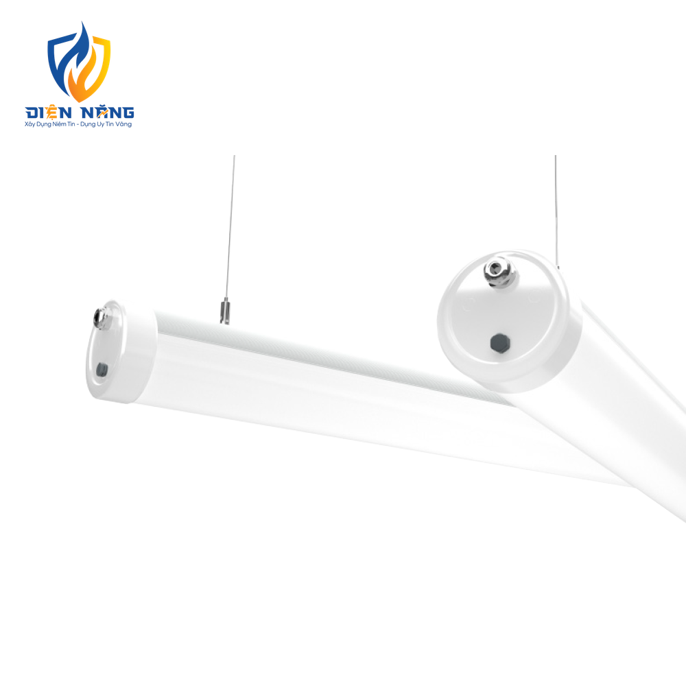 V2LTP - anh 8