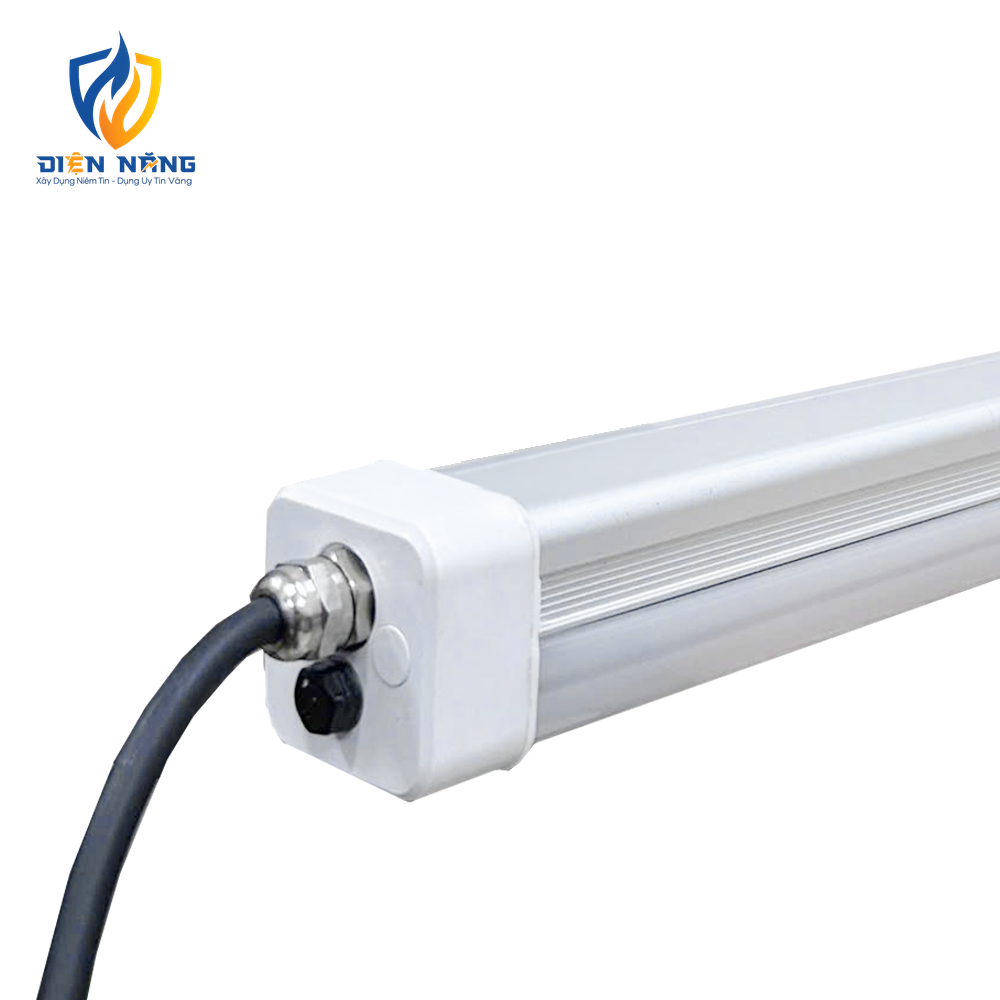 V1LTP - anh 3
