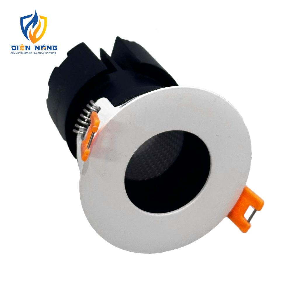 V16DLF - anh 2