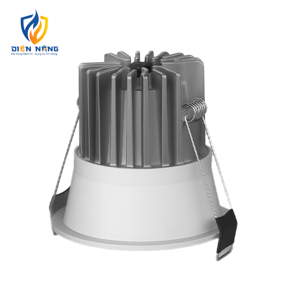 V8DLF - anh 2