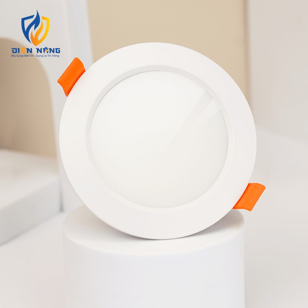 V5DLF - anh 4