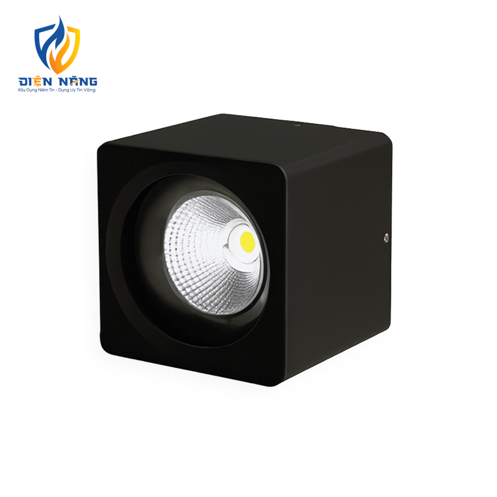 V13CLF - anh 2