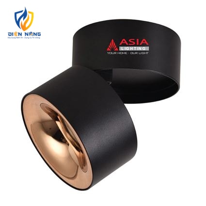 Đèn trần nổi xoay góc vỏ đen 10W - anh 3