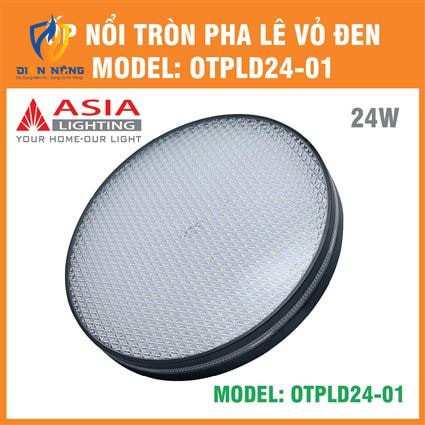 Ốp nổi tròn pha lê vỏ đen 24W - anh 11