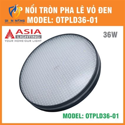 Ốp nổi tròn pha lê vỏ đen 36W - anh 11