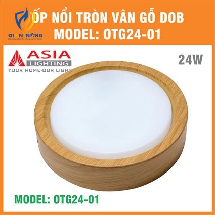 Ốp nổi tròn vân gỗ 24W - DOB - anh 10