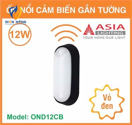 Ốp nổi cảm biến gắn tường vỏ đen - 12W - anh 8