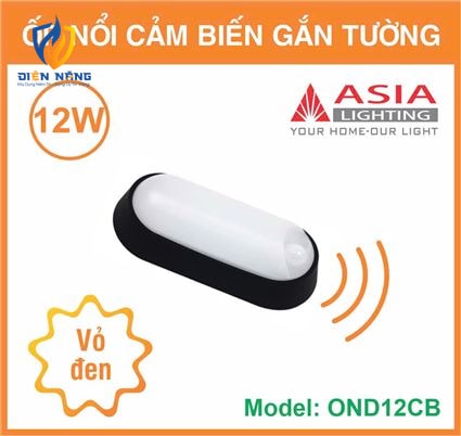Ốp nổi cảm biến gắn tường vỏ đen - 12W - anh 9