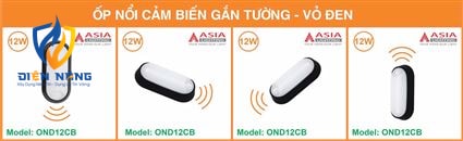 Ốp nổi cảm biến gắn tường vỏ đen - 12W - anh 10