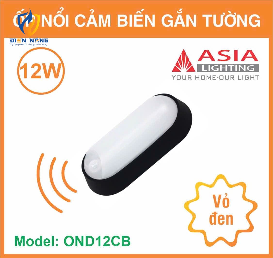Ốp nổi cảm biến gắn tường vỏ đen - 12W