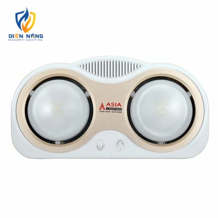 Đèn sưởi lắp nổi - 02 bóng mờ - anh 4