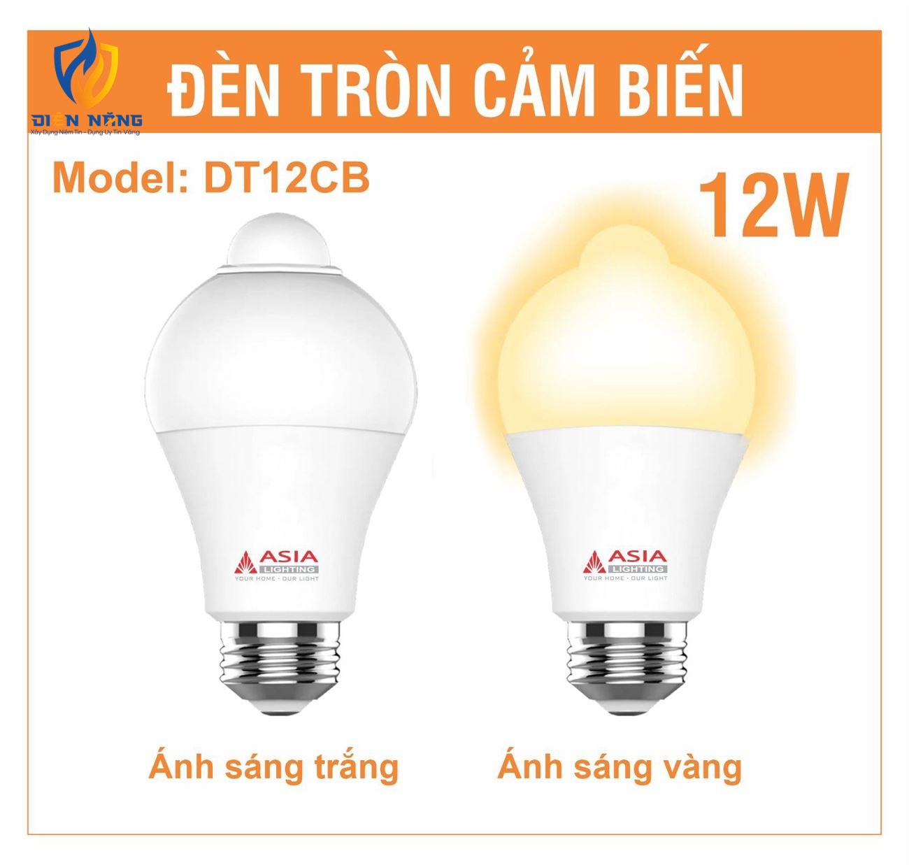 Đèn tròn cảm ứng 12W