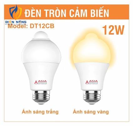 Đèn tròn cảm ứng 12W - anh 3