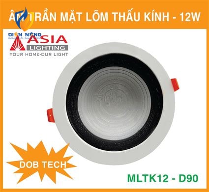 Âm trần mặt lõm thấu kính 12W - DOB - anh 4