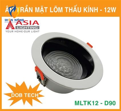 Âm trần mặt lõm thấu kính 12W - DOB - anh 5