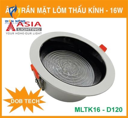 Âm trần mặt lõm thấu kính 16W - DOB - anh 5