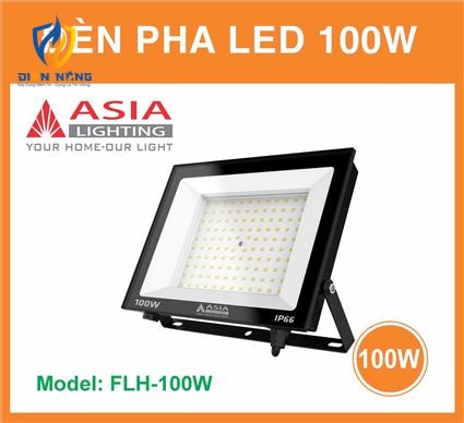 Đèn pha FLH100W - anh 5