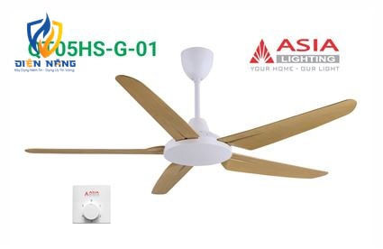 Quạt trần hộp số cao cấp QT05HS-G-01 - Gỗ phong cách - anh 2