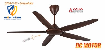 Quạt trần cao cấp QT08-G-02 - Gỗ tự nhiên - anh 2