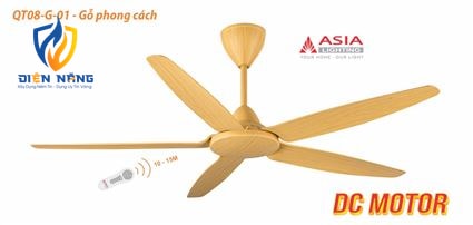 Quạt trần cao cấp QT08-G-01 - Gỗ phong cách - anh 2