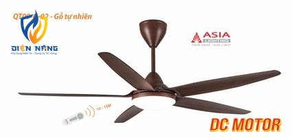 Quạt trần cao cấp QT09-G-02 - Gỗ tự nhiên - anh 2
